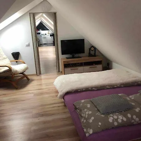 ゲストハウス Ponikiew -