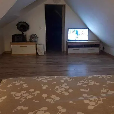 ゲストハウス Ponikiew - *