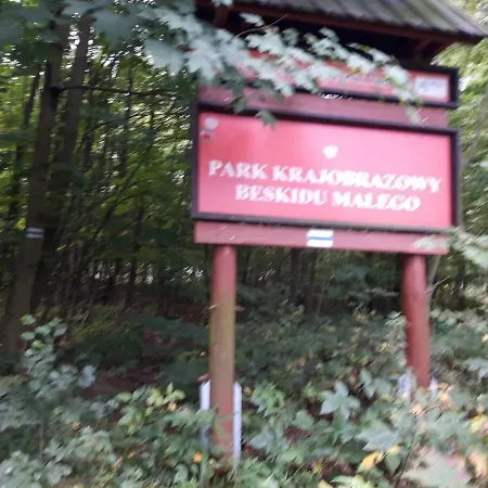 Ponikiew - * Wadowice
