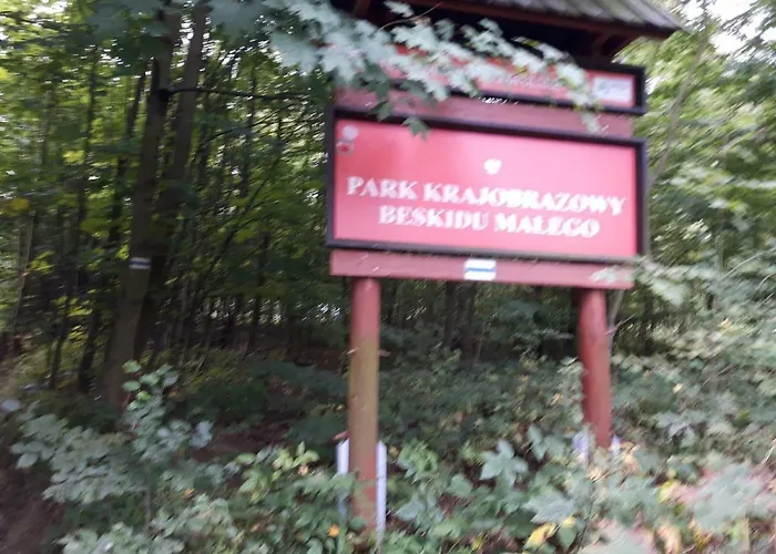 Ponikiew - * ודוביצה